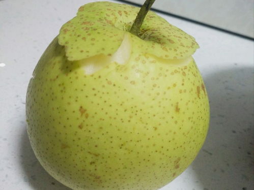 怎样腌韭菜花是绿的(怎样腌制的韭菜花翠绿),第2张 怎样腌韭菜花是绿的(怎样腌制的韭菜花翠绿),怎样腌韭菜花是绿的(怎样腌制的韭菜花翠绿),第2张