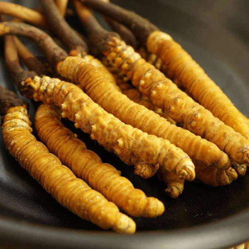 上海厂房装修：如何在家里制作顺滑细腻的咖啡奶泡？,上海厂房装修：如何在家里制作顺滑细腻的咖啡奶泡？,第3张