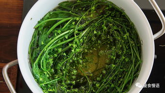 装修:中国木材供应商:市场现状与可持续发展之路,第3张 装修:中国木材供应商:市场现状与可持续发展之路,装修:中国木材供应商:市场现状与可持续发展之路,第3张