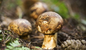 上海办公楼装潢:空调制热30度是最高温度吗?,第2张 上海办公楼装潢:空调制热30度是最高温度吗?,上海办公楼装潢:空调制热30度是最高温度吗?,第2张