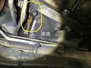 新骏捷（新骏捷前桥油）,新骏捷（新骏捷前桥油）,第2张