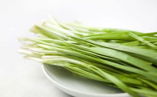 韭菜的功效（韭菜的功效与作用禁忌）,韭菜的功效（韭菜的功效与作用禁忌）,第2张