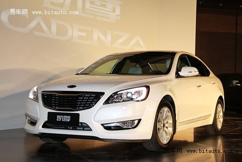 起亚cadenza（起亚Cadenza）,起亚cadenza（起亚Cadenza）,第3张