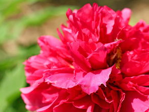 上海工装公司:无缝钢管价格趋势如何?这些因素影响了价格的波动!,第2张 上海工装公司:无缝钢管价格趋势如何?这些因素影响了价格的波动!,上海工装公司:无缝钢管价格趋势如何?这些因素影响了价格的波动!,第2张