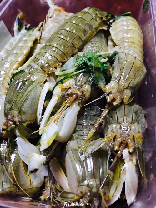 虾姑和皮皮虾的区别(虾姑就是皮皮虾吗?),第1张 虾姑和皮皮虾的区别(虾姑就是皮皮虾吗?),虾姑和皮皮虾的区别(虾姑就是皮皮虾吗?),第1张