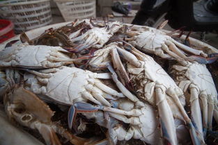 天语三厢(天语三厢后排可以放倒吗),第3张 天语三厢(天语三厢后排可以放倒吗),天语三厢(天语三厢后排可以放倒吗),第3张