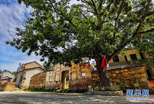 陈田村(陈田村在哪里),第3张 陈田村(陈田村在哪里),陈田村(陈田村在哪里),第3张