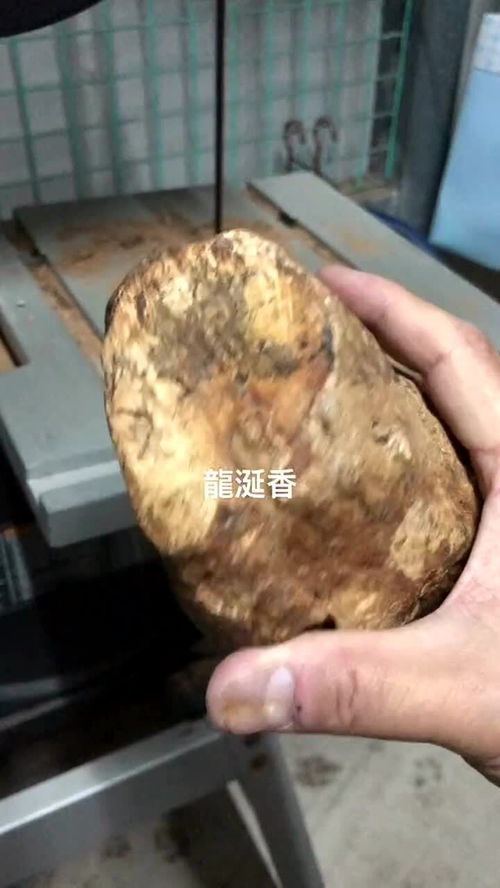 龙涎香的价格(龙涎香价格一般是多少钱),第2张 龙涎香的价格(龙涎香价格一般是多少钱),龙涎香的价格(龙涎香价格一般是多少钱),第2张