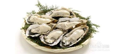 落基山牡蛎（落基山牡蛎百度百科）,落基山牡蛎（落基山牡蛎百度百科）,第3张