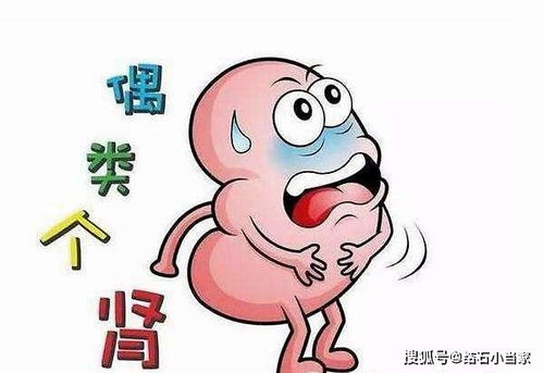 尿结石的原因(尿结石的原因引起的),第2张 尿结石的原因(尿结石的原因引起的),尿结石的原因(尿结石的原因引起的),第2张