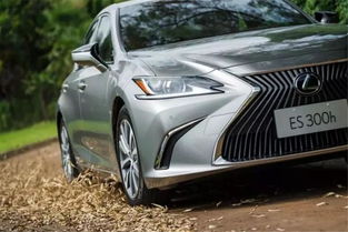 雷克萨斯es300报价(雷克萨斯es300报价新车价格),第2张 雷克萨斯es300报价(雷克萨斯es300报价新车价格),雷克萨斯es300报价(雷克萨斯es300报价新车价格),第2张