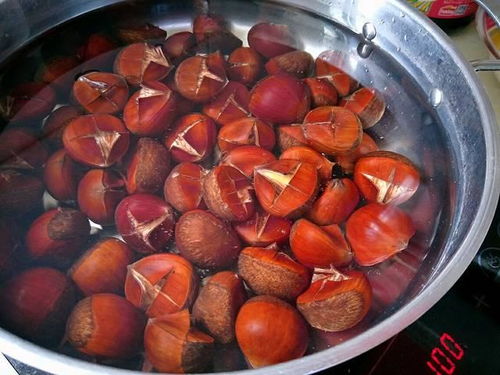 栗子的做法大全家常做法视频(水煮板栗的正确做法),第1张 栗子的做法大全家常做法视频(水煮板栗的正确做法),栗子的做法大全家常做法视频(水煮板栗的正确做法),第1张