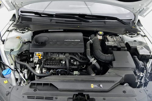 姬松茸的功效与作用(姬松茸的功效与作用百度百科),第1张 姬松茸的功效与作用(姬松茸的功效与作用百度百科),姬松茸的功效与作用(姬松茸的功效与作用百度百科),第1张