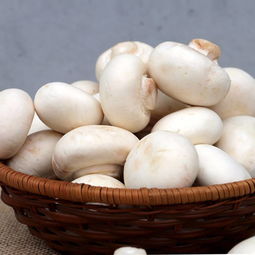 女生下面长尖尖(女生下面长尖尖像刺怎么回事),第1张 女生下面长尖尖(女生下面长尖尖像刺怎么回事),女生下面长尖尖(女生下面长尖尖像刺怎么回事),第1张