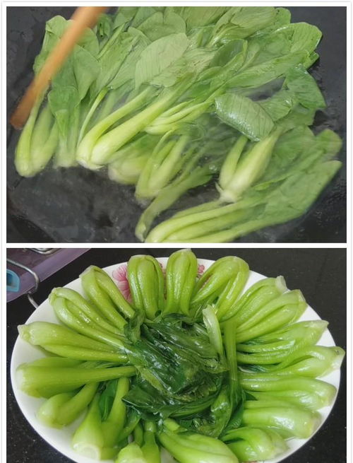 青菜的做法大全图片(青菜的一百种做法),第1张 青菜的做法大全图片(青菜的一百种做法),青菜的做法大全图片(青菜的一百种做法),第1张