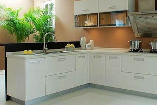 志邦橱柜好不好（志邦橱柜怎么样）,志邦橱柜好不好（志邦橱柜怎么样）,第1张