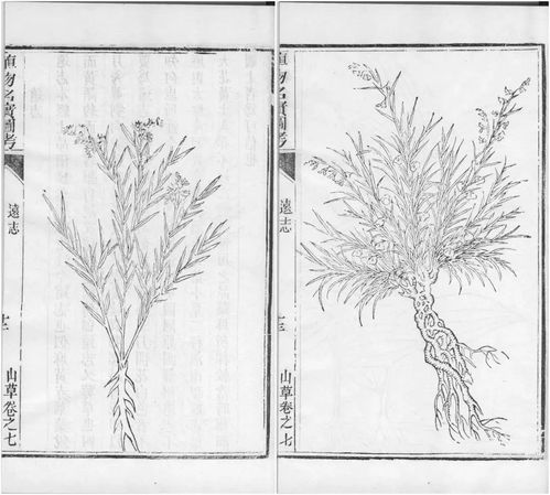 雨燕车友会（雨燕 论坛）,雨燕车友会（雨燕 论坛）,第3张