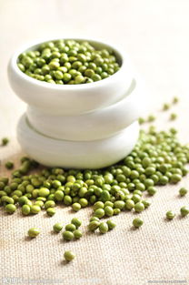 绿豆食物相克表(绿豆相克食物一览表),第3张 绿豆食物相克表(绿豆相克食物一览表),绿豆食物相克表(绿豆相克食物一览表),第3张