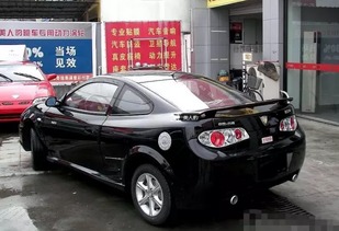 美人豹(美人豹图片),第3张 美人豹(美人豹图片),美人豹(美人豹图片),第3张