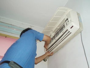 哈尔滨蛋糕(哈尔滨蛋糕店送货上门电话),第1张 哈尔滨蛋糕(哈尔滨蛋糕店送货上门电话),哈尔滨蛋糕(哈尔滨蛋糕店送货上门电话),第1张