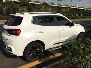 瑞虎改装（瑞虎改装图片）,瑞虎改装（瑞虎改装图片）,第2张