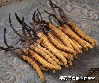 冬虫夏草的功效（冬虫夏草的功效与作用及食用方法）,冬虫夏草的功效（冬虫夏草的功效与作用及食用方法）,第1张