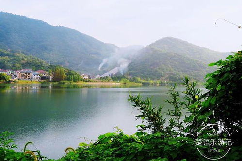 中国防水（中国防水之乡）,中国防水（中国防水之乡）,第1张