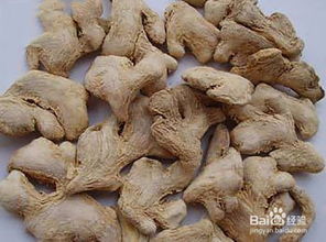 鱿鱼干的功效与作用(鱿鱼干的功效与作用及食用方法禁忌),第2张 鱿鱼干的功效与作用(鱿鱼干的功效与作用及食用方法禁忌),鱿鱼干的功效与作用(鱿鱼干的功效与作用及食用方法禁忌),第2张