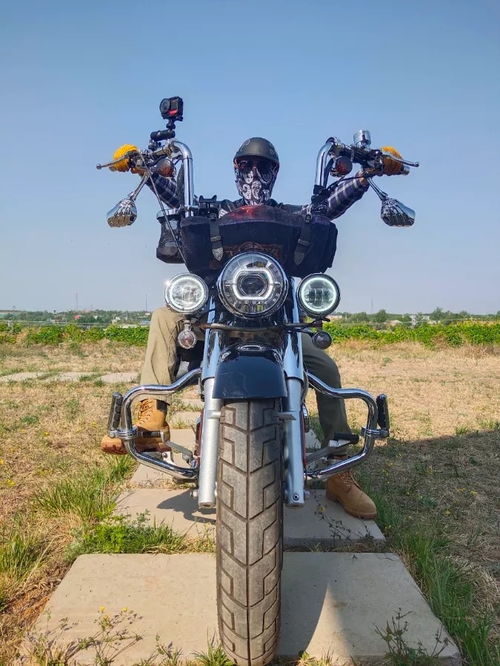 大众威然(大众威然2024款落地价),第2张 大众威然(大众威然2024款落地价),大众威然(大众威然2024款落地价),第2张