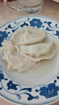 西葫芦饺子的做法素馅饺子的做法(西葫芦饺子素馅怎么做好吃),第2张 西葫芦饺子的做法素馅饺子的做法(西葫芦饺子素馅怎么做好吃),西葫芦饺子的做法素馅饺子的做法(西葫芦饺子素馅怎么做好吃),第2张