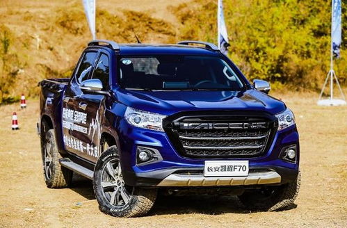 新凯皮卡(新凯皮卡车配件),第1张 新凯皮卡(新凯皮卡车配件),新凯皮卡(新凯皮卡车配件),第1张