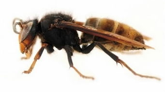 泡水车保险公司怎么赔偿（泡水车保险公司怎么赔偿是车损险）,泡水车保险公司怎么赔偿（泡水车保险公司怎么赔偿是车损险）,第1张