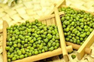 绿豆食物相克表(绿豆相克食物一览表),第1张 绿豆食物相克表(绿豆相克食物一览表),绿豆食物相克表(绿豆相克食物一览表),第1张