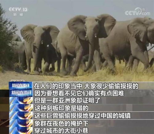 上海办公楼装修:探究施工脚手架的搭建原理与技巧,第3张 上海办公楼装修:探究施工脚手架的搭建原理与技巧,上海办公楼装修:探究施工脚手架的搭建原理与技巧,第3张