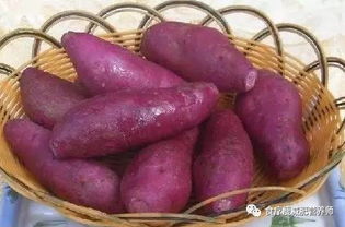 中午吃什么减肥（中午吃什么减肥效果最好）,中午吃什么减肥（中午吃什么减肥效果最好）,第2张