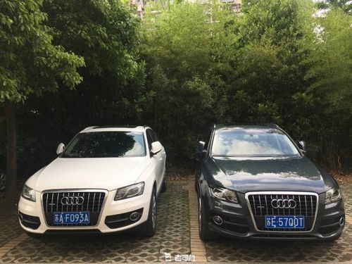 干炸带鱼用淀粉还是面粉(炸带鱼用干面粉行吗),第1张 干炸带鱼用淀粉还是面粉(炸带鱼用干面粉行吗),干炸带鱼用淀粉还是面粉(炸带鱼用干面粉行吗),第1张