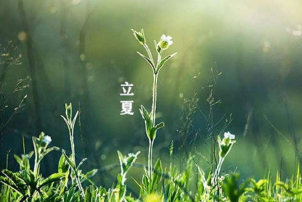 今年立夏是几月几日的简单介绍,第2张 今年立夏是几月几日的简单介绍,今年立夏是几月几日的简单介绍,第2张