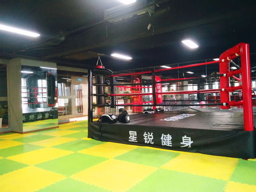 天津限号8月查询（天津限号8月查询区域）,天津限号8月查询（天津限号8月查询区域）,第3张