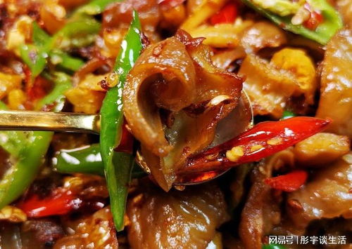 家常爆炒肥肠的做法(家常爆炒肥肠的做法视频),第3张 家常爆炒肥肠的做法(家常爆炒肥肠的做法视频),家常爆炒肥肠的做法(家常爆炒肥肠的做法视频),第3张