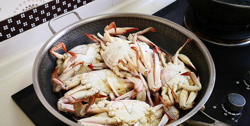 螃蟹蒸几分钟出色的卓越的优异的杰出的时间(4两螃蟹蒸几分钟出色的卓越的优异的杰出的时间),第3张 螃蟹蒸几分钟出色的卓越的优异的杰出的时间(4两螃蟹蒸几分钟出色的卓越的优异的杰出的时间),螃蟹蒸几分钟出色的卓越的优异的杰出的时间(4两螃蟹蒸几分钟出色的卓越的优异的杰出的时间),第3张