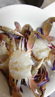 姜葱炒蟹的做法大全(家常姜葱炒蟹的做法),第1张 姜葱炒蟹的做法大全(家常姜葱炒蟹的做法),姜葱炒蟹的做法大全(家常姜葱炒蟹的做法),第1张