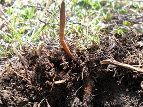 欧瑞家私(索菲亚橱柜售后电话),第2张 欧瑞家私(索菲亚橱柜售后电话),欧瑞家私(索菲亚橱柜售后电话),第2张