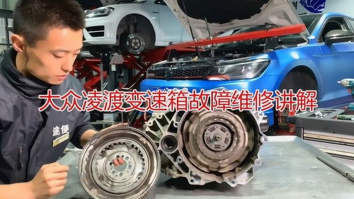 森林狼地板（森林狼地板和大自然地板哪个好）,森林狼地板（森林狼地板和大自然地板哪个好）,第1张