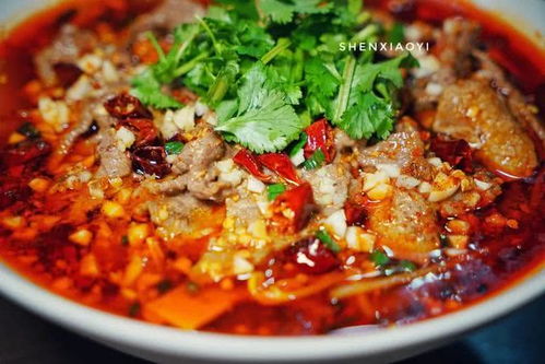 水煮牛肉怎么烧好吃(水煮牛肉怎么烧好吃又嫩),第2张 水煮牛肉怎么烧好吃(水煮牛肉怎么烧好吃又嫩),水煮牛肉怎么烧好吃(水煮牛肉怎么烧好吃又嫩),第2张