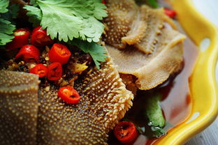 凉拌毛肚的做法(凉拌毛肚的做法最正宗的做法),第1张 凉拌毛肚的做法(凉拌毛肚的做法最正宗的做法),凉拌毛肚的做法(凉拌毛肚的做法最正宗的做法),第1张