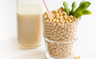 豆浆的功效与作用(豆浆的功效与作用女生),第2张 豆浆的功效与作用(豆浆的功效与作用女生),豆浆的功效与作用(豆浆的功效与作用女生),第2张