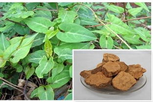 海马cx7(海马cx4报价及图片),第3张 海马cx7(海马cx4报价及图片),海马cx7(海马cx4报价及图片),第3张