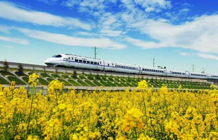 绍兴汽车(绍兴汽车站在哪里),第2张 绍兴汽车(绍兴汽车站在哪里),绍兴汽车(绍兴汽车站在哪里),第2张