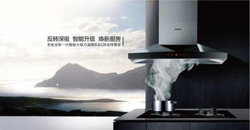 德意抽油烟机怎么样(德意抽油烟机客服电话号码),第1张 德意抽油烟机怎么样(德意抽油烟机客服电话号码),德意抽油烟机怎么样(德意抽油烟机客服电话号码),第1张