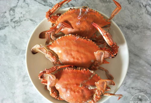 螃蟹蒸几分钟出色的卓越的优异的杰出的时间(4两螃蟹蒸几分钟出色的卓越的优异的杰出的时间),第1张 螃蟹蒸几分钟出色的卓越的优异的杰出的时间(4两螃蟹蒸几分钟出色的卓越的优异的杰出的时间),螃蟹蒸几分钟出色的卓越的优异的杰出的时间(4两螃蟹蒸几分钟出色的卓越的优异的杰出的时间),第1张